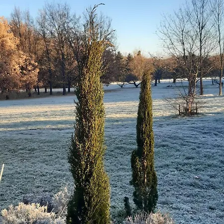 Domaine De Chalaniat *